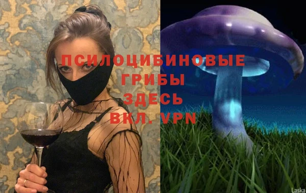 мдпв Навашино