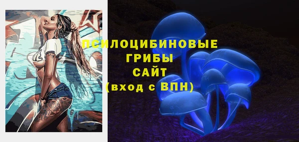 spice Михайлов
