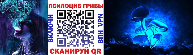 Псилоцибиновые грибы Cubensis  Кукмор 